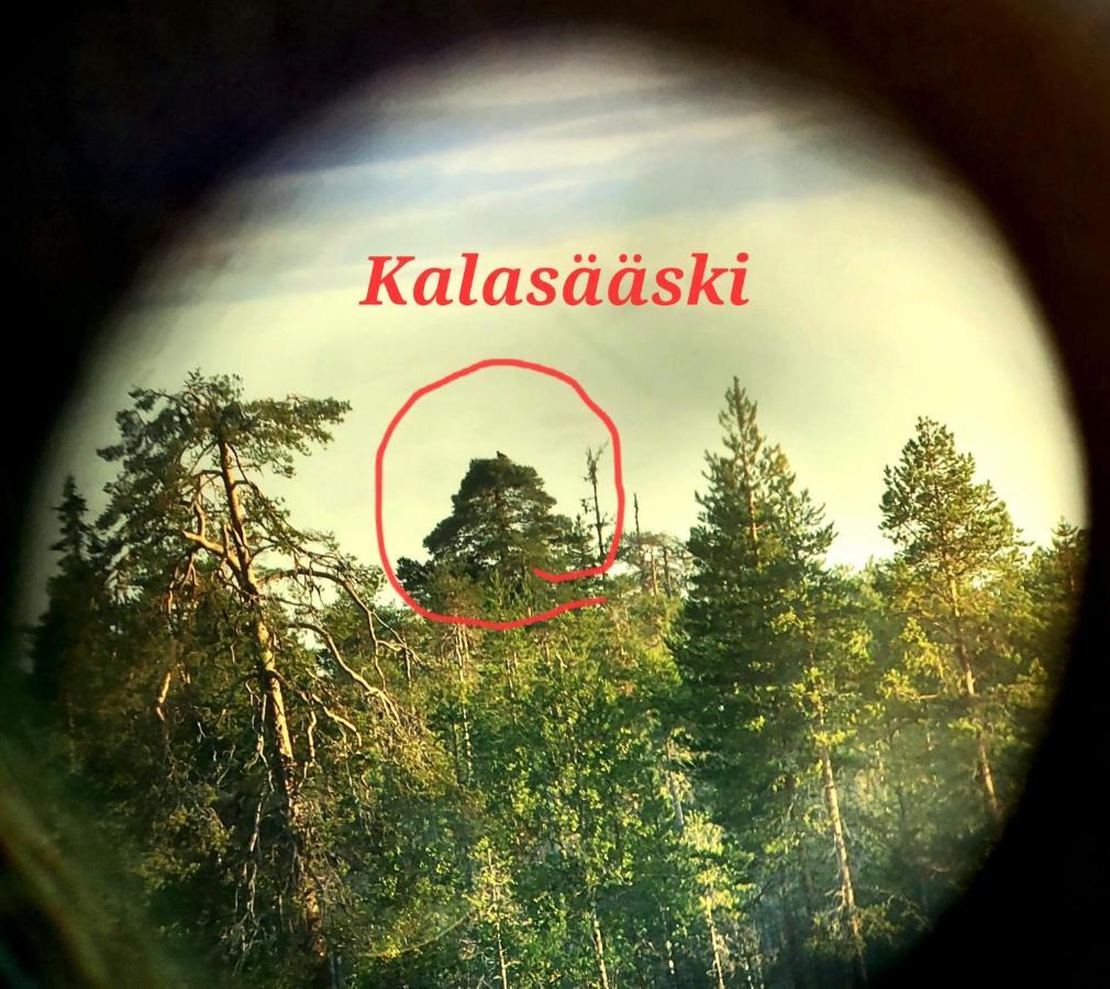 Salen Saunamoekki Villa Рануа Екстериор снимка